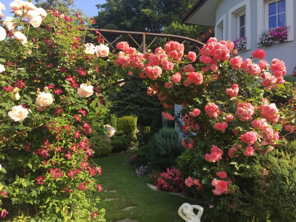 Domek I Apartamenty Zacisze Brenna Esterno foto