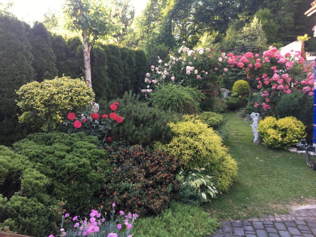 Domek I Apartamenty Zacisze Brenna Esterno foto